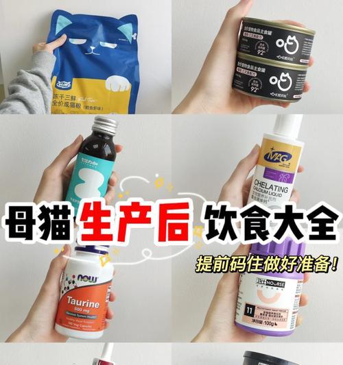 猫膀胱麻痹恢复的时间是多久？（探讨猫膀胱麻痹恢复的关键因素及时长）
