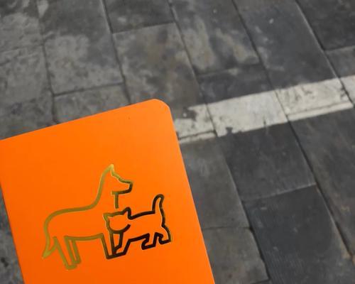 幼犬打完三针疫苗多久可以带出去？（疫苗接种时间表及注意事项）