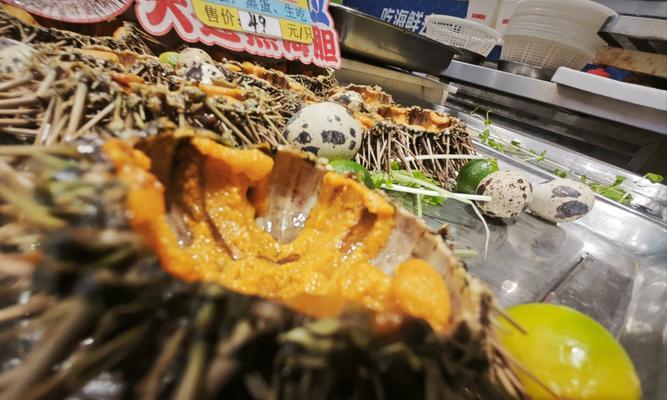 了解海胆（探索海洋世界的奇妙多样性）