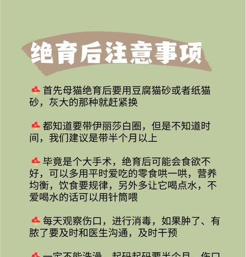 母猫绝育后疼痛时长与护理（了解母猫绝育后的疼痛期和必要的护理措施）