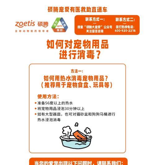 小狗出生多久做防疫？（了解小狗防疫的最佳时间和方法）