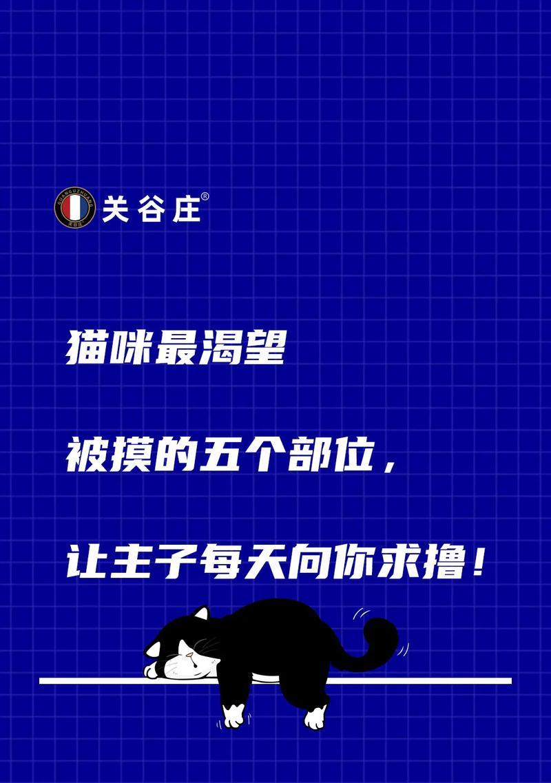 小心！这些部位绝对不能摸猫（保护猫咪健康，避免触碰敏感区域）