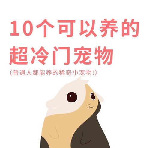 国内禁止养大型犬的原因及影响（为什么国内对大型犬进行禁养？禁养大型犬的关键因素）
