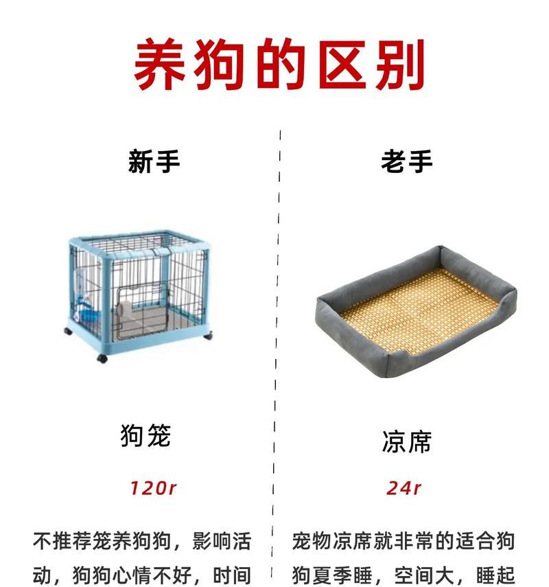 狗狗怕冷吗？如何为狗狗过冬（新手养宠必看，保护宠物免受严寒侵袭）