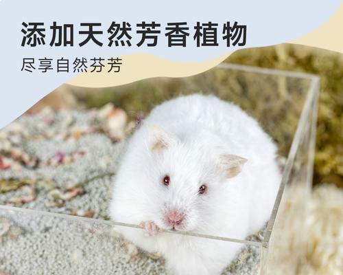 龙猫洗澡浴粉的更换频率（了解龙猫洗澡浴粉的更换周期和注意事项）