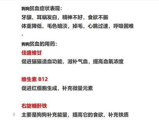 狗狗贫血的康复期及（了解狗狗贫血的治愈时间和护理方法）
