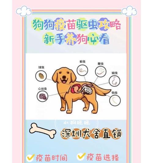 狗狗七联国产疫苗（科学定制接种计划，宠物幸福从这里开始）