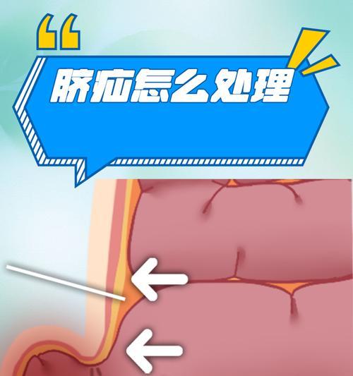 了解狗狗脐疝的症状和治疗方法（探究脐疝是如何影响狗狗健康的）