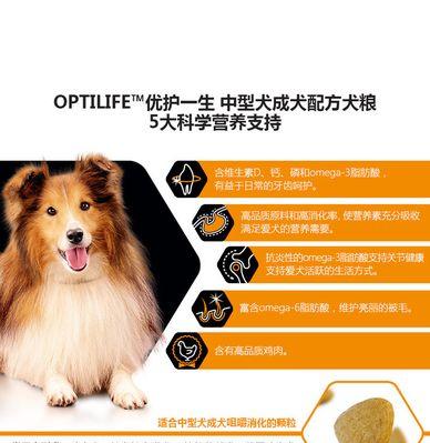 哈士奇的牙齿换新周期（探寻哈士奇换牙的时间和过程）