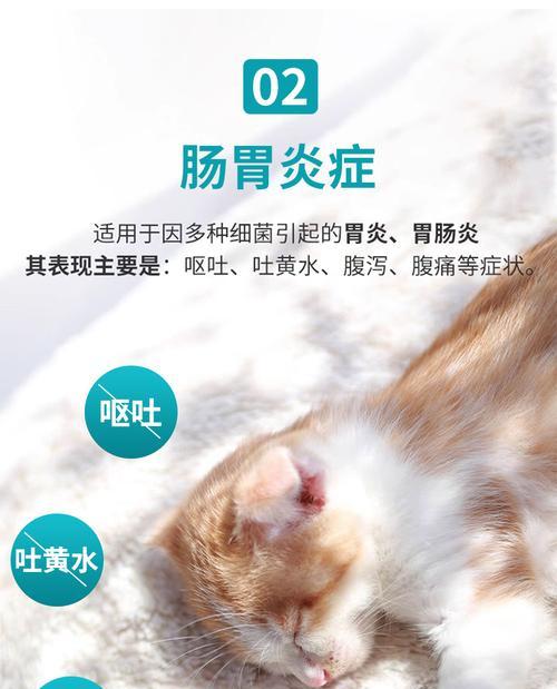 狗吃消炎药的频率与注意事项（狗吃消炎药的适宜频率及相关注意事项）