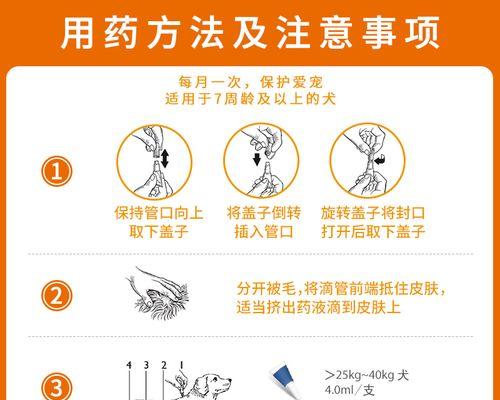 狗的康复需要多久？（揭开狗痊愈的时间之谜）