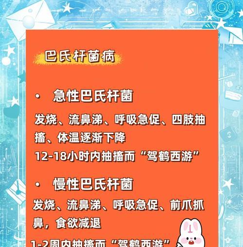 兔子耳朵常见疾病及防治措施（了解兔子耳朵常见疾病，守护兔子健康）