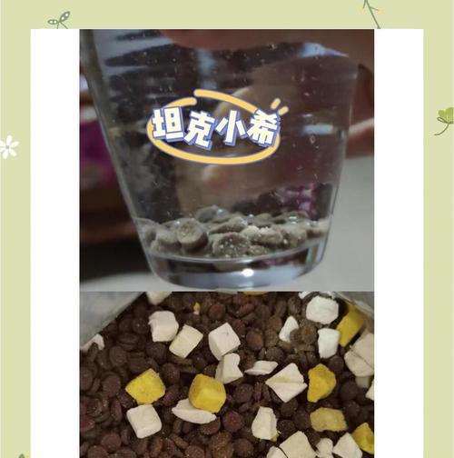 猫粮泡软能放多久？探究最佳保存时间（科学保存猫粮泡软的窍门，营养依旧不减）