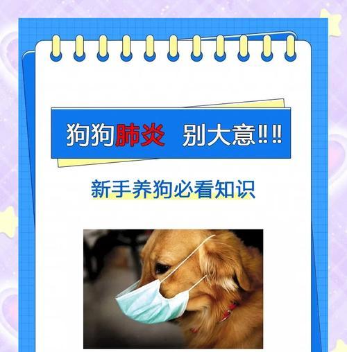揭秘狗狗肺炎的症状——保护宠物健康的关键（了解狗狗肺炎的常见症状，为宠物提供及时保护）