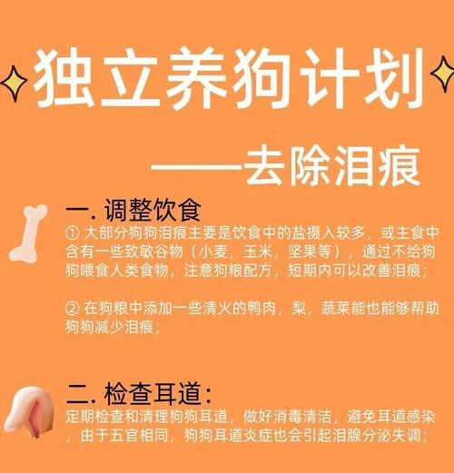 小博美拉稀的治理方法（解决小博美拉稀的有效方法及注意事项）