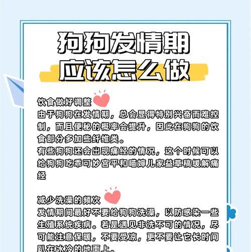 狗狗频繁排尿的问题及原因解析（生理期是否是唯一原因？）