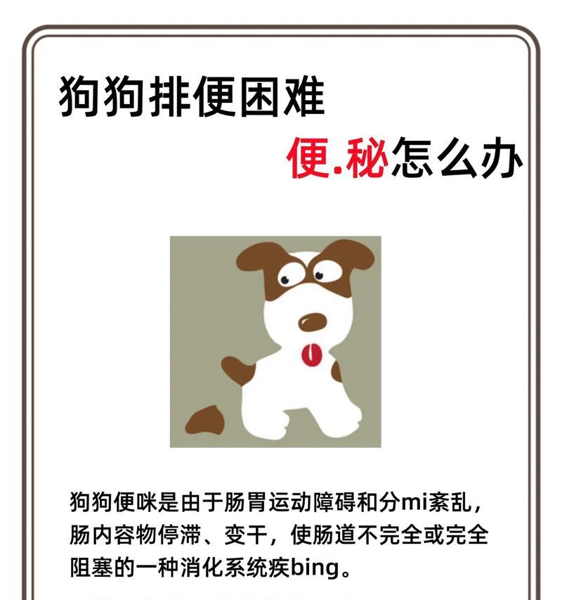 狗狗便秘问题解析（以15天的狗狗多久大便为例，了解便秘原因与解决方法）