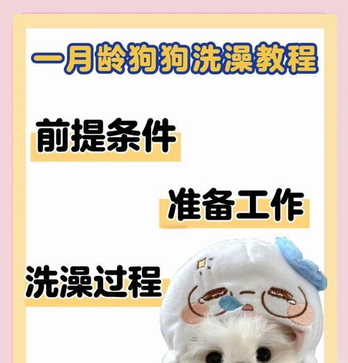 狗狗打完疫苗后多久可以洗澡？（洗澡时间的关键是疫苗接种的保护期限）