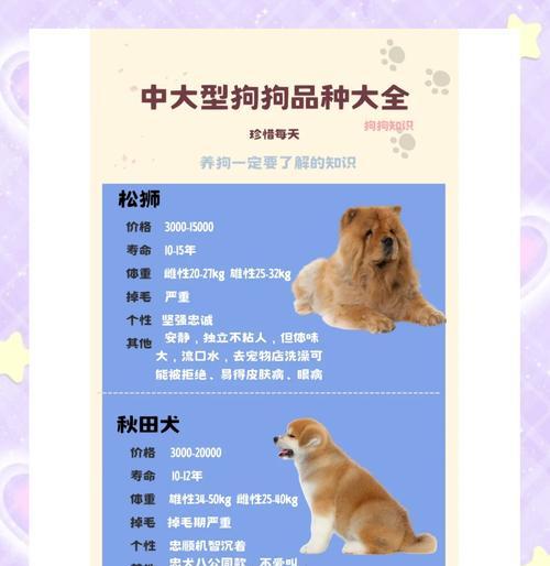 柴犬怀孕期多长时间？（了解柴犬怀孕周期及注意事项）