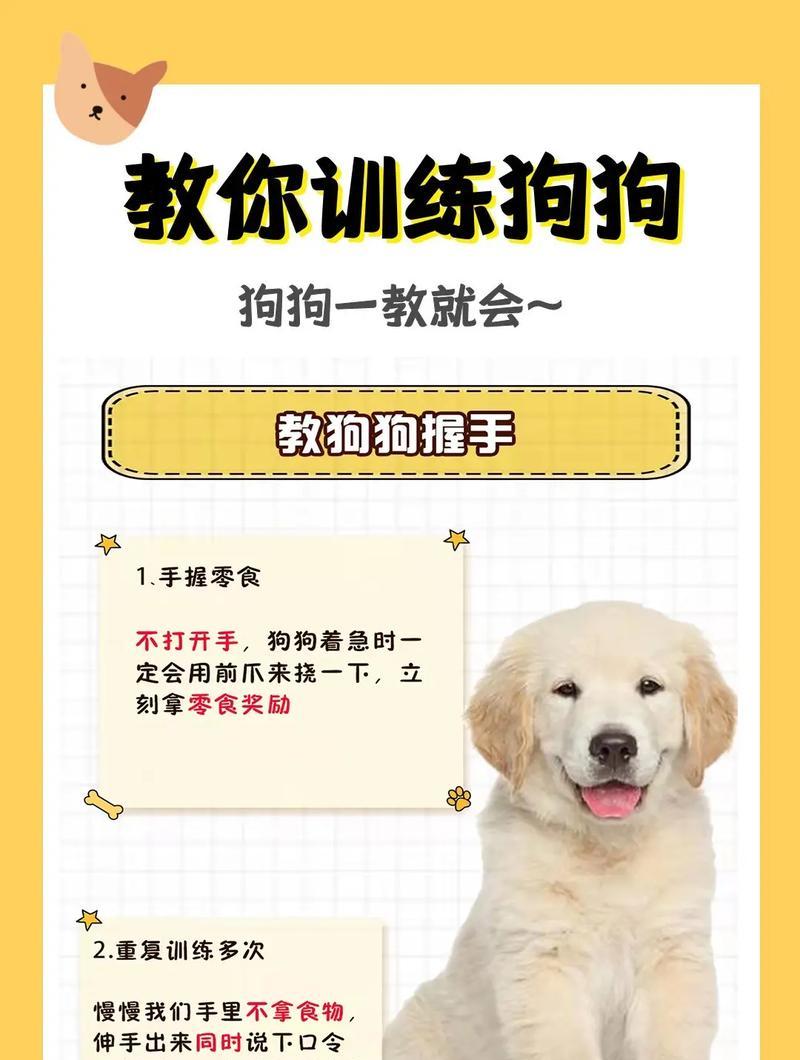 狗狗尾交射精时间揭秘（揭开狗狗尾交射精的时间之谜）