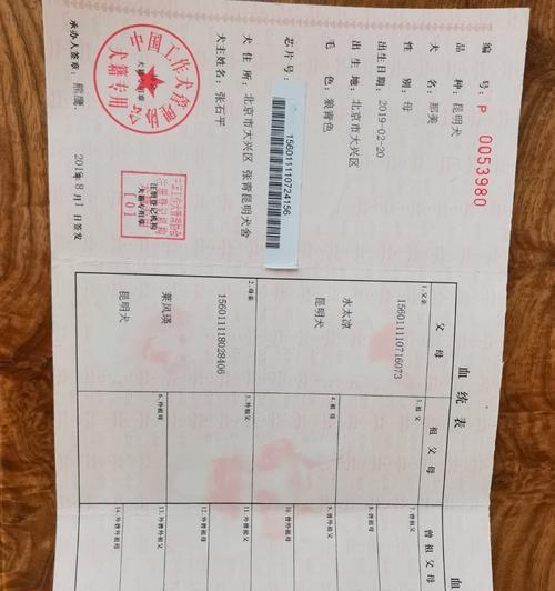 狗血统证书办理时间一览（探索办理狗血统证书的时间周期及相关要求）