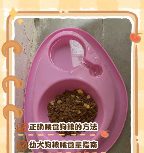 如何科学合理地喂养狗狗？（探究每日狗粮摄入量和餐次安排的最佳选择）
