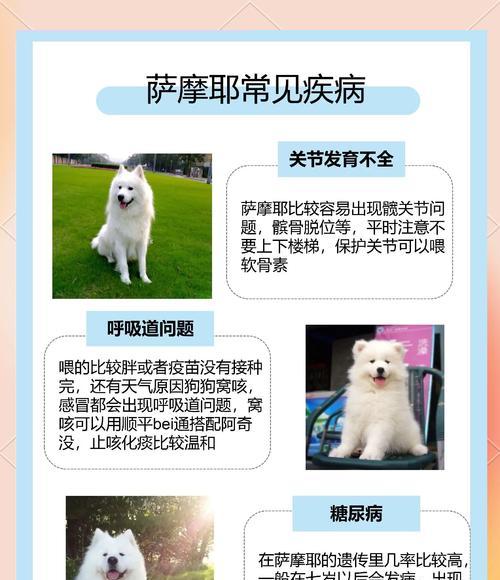 萨摩耶犬的驱虫方法（养犬必备知识，萨摩耶犬的驱虫周期与方法）