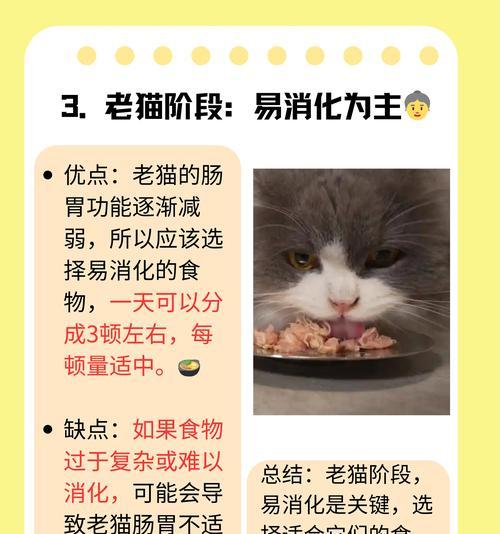 小猫吃了巧克力，生死一线（巧克力中的祸首，小猫患上巧克力中毒）