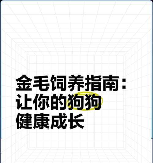 金毛犬驱虫时间表及建议（养金毛犬应注意的驱虫时间和方法）