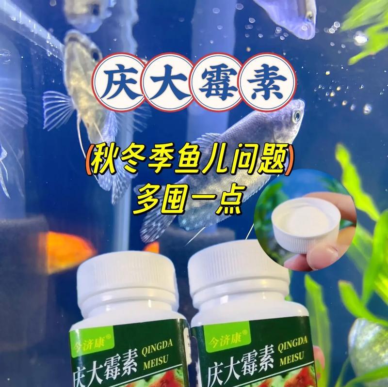 庆大霉素的使用期限及注意事项（详解庆大霉素使用时间长度和使用注意事项，掌握关键信息）