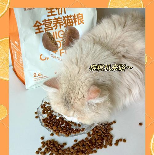 新手选粮不迷路，推荐5款高性价比猫粮（避免踩雷，给你的爱猫选择最适合的猫粮）