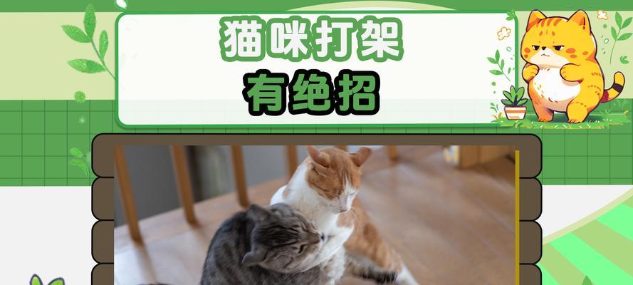 家猫打架多久才算正常？（探讨家猫打架的时间长度及适度）