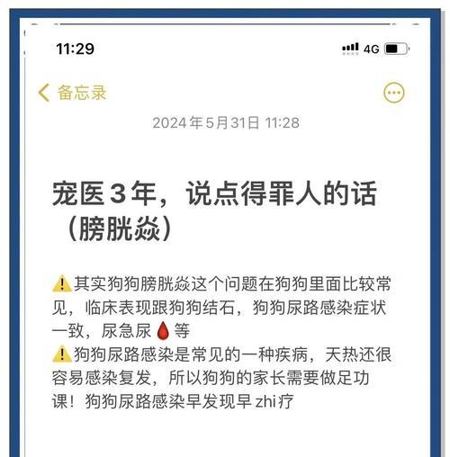 如何遛狗才能减缓膀胱炎？（有效遛狗方式帮助狗狗恢复健康）