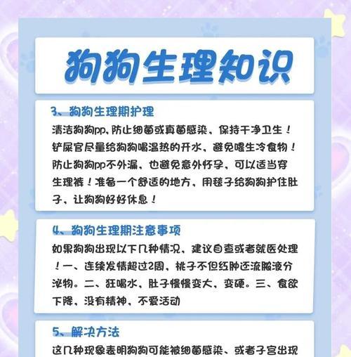 狗狗生理期间隔多久？探索正确的周期！（解密狗狗发情周期，让爱宠拥有健康生活！）