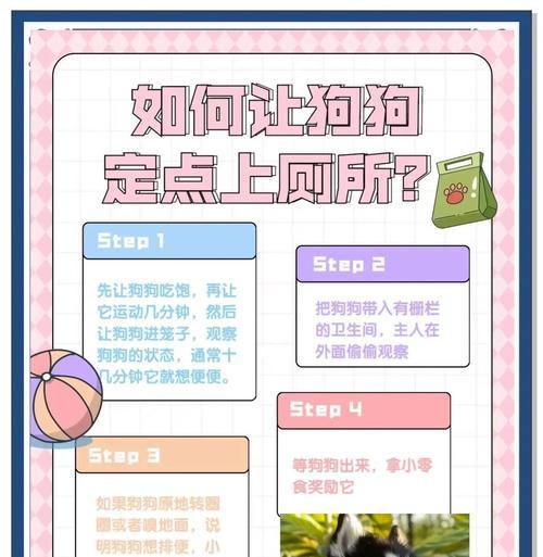 法斗如何训练上厕所（培养法斗良好的卫生习惯）