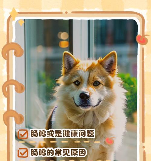 两个蛋黄狗狗消化时间究竟需要多久？（揭秘蛋黄狗狗的消化过程及时间要求）
