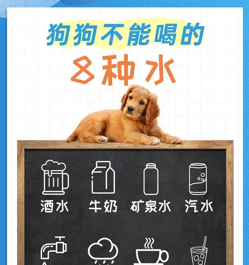 为什么狗狗不能喝牛奶？（探究狗狗喝牛奶的三大理由）