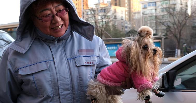 冬季狗狗保暖指南（室内外保暖技巧、）