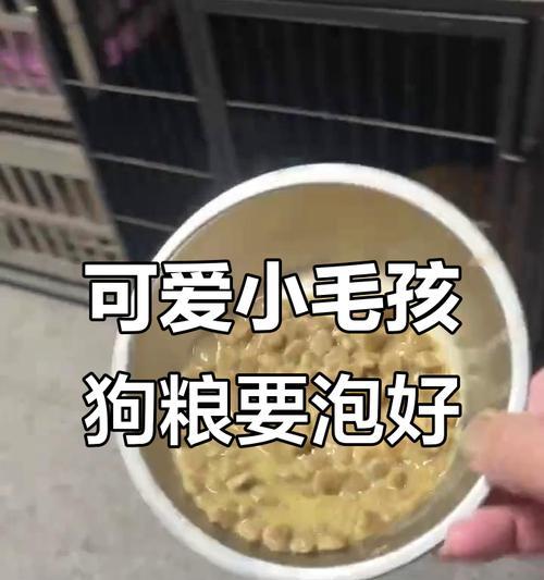 狗粮泡发时间的重要性（如何确定狗粮的泡发时间？）