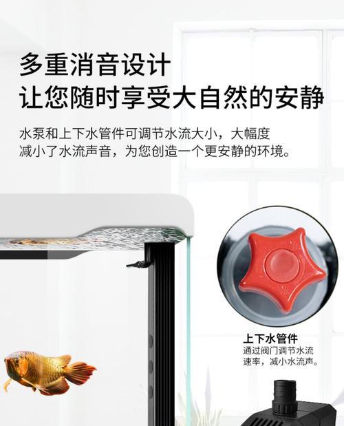 热带鱼缸清洗频率（如何确定热带鱼缸清洗的最佳时间和方法）
