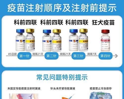 成犬疫苗防护的必要性（了解成犬疫苗种类，守护宠物健康）