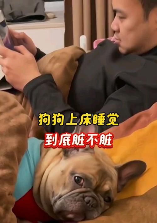 小狗狗的睡眠需求与习惯（探索小狗狗每天睡多久的原因与影响）