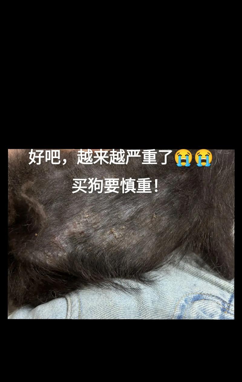 辨别巨贵纯不纯的3招，避免买到串货（鉴别巨贵纯不纯，防止被骗上当，识别关键点）