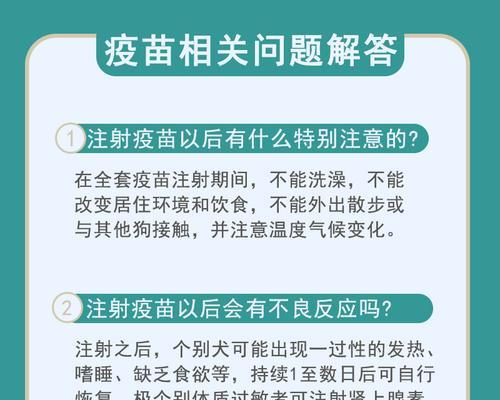 狗狗幼犬疫苗间隔时间该如何安排（科学合理的幼犬疫苗接种时间表制定方案）