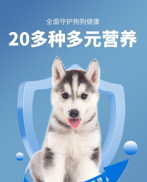 狗狗抗敏粮的选择与优势（为你的宠物选择合适的抗敏粮，让它们健康快乐）