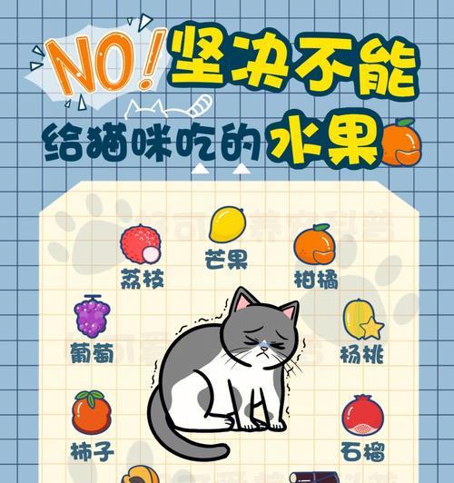 小猫可以吃哪些水果？（探索适合小猫食用的水果种类及注意事项）