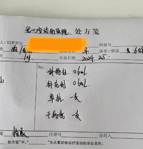 细小病毒治疗时间有多长？（探究细小病毒治疗周期及关键因素）