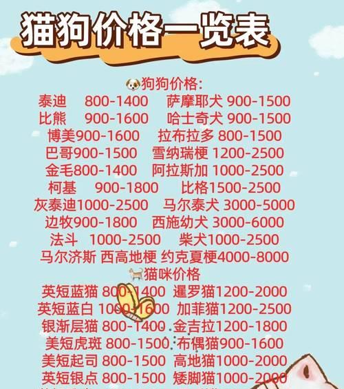 了解高加索，一只值得投资的宠物（高加索的价格及饲养知识分享，让你成为专业养宠人士）