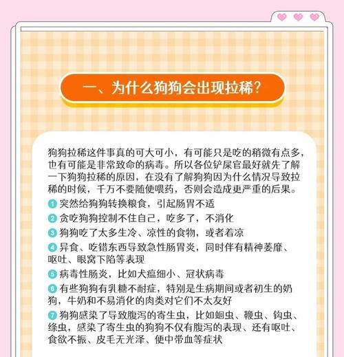 教你5个妙招应对狗狗拉稀问题（有效解决狗狗拉稀的方法和注意事项）