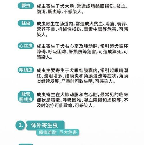 四个月大的狗狗需要多久驱一次虫？（驱虫频率对狗狗健康的重要性）